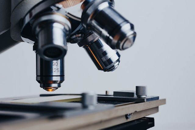 氨基聚醚對聚脲涂層耐低溫性能和耐沖擊性能的調控作用研究